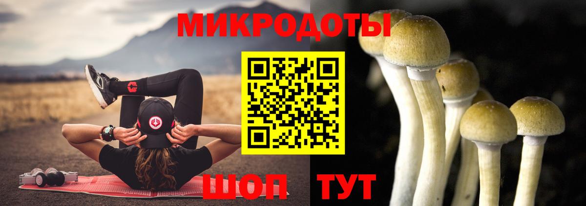 Псилоцибиновые грибы Psilocybe  Вход с VPN  Великий Устюг  Псилоцибиновые грибы Cubensis 